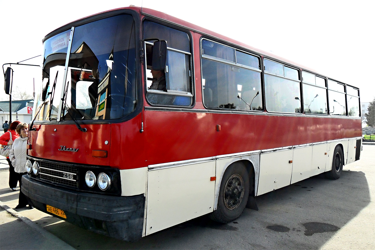 Алтайский край, Ikarus 256.74 № АЕ 486 22