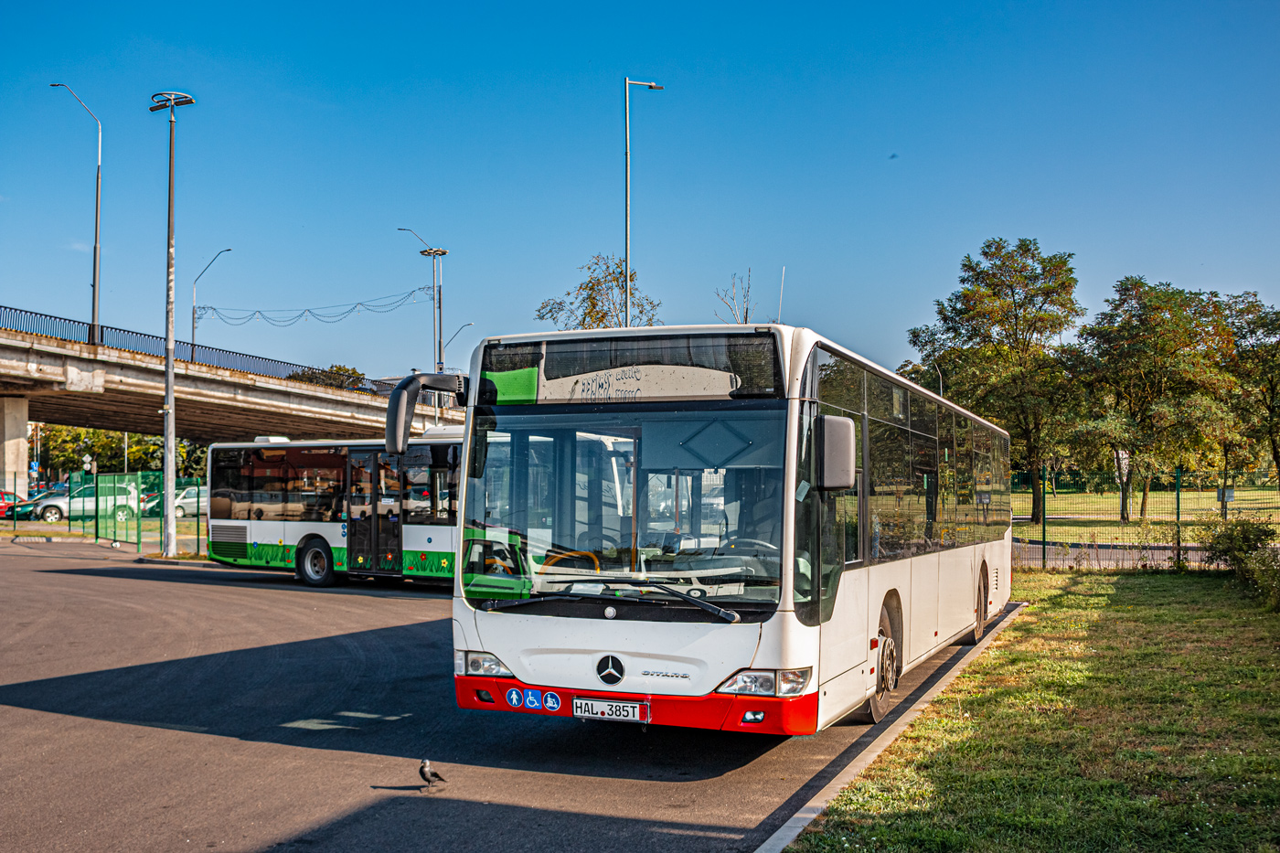 Саксония-Анхальт, Mercedes-Benz O530 Citaro facelift № HAL 385T