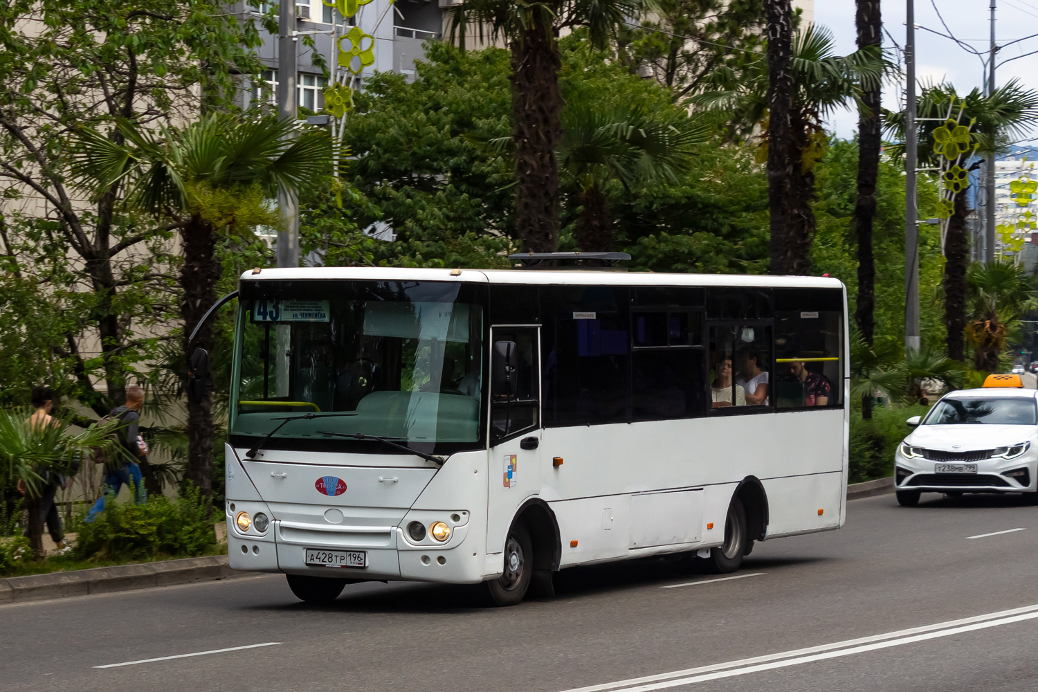 Краснодарский край, Hyundai County Kuzbas HDU2 № А 428 ТР 196