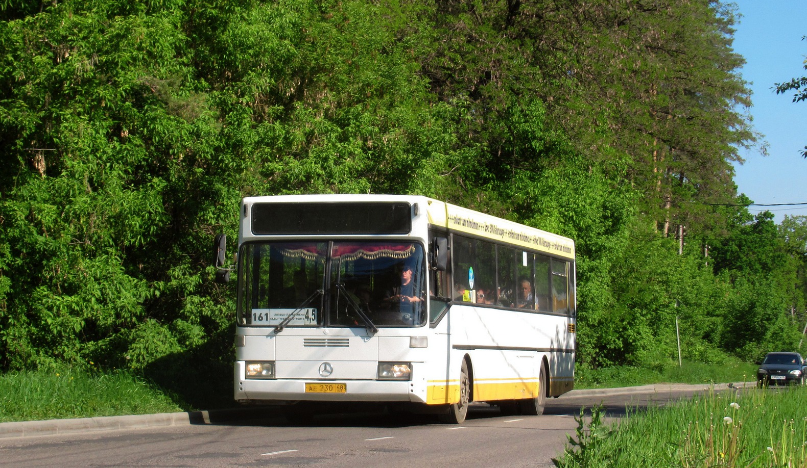 Липецкая область, Mercedes-Benz O405 № АЕ 230 48