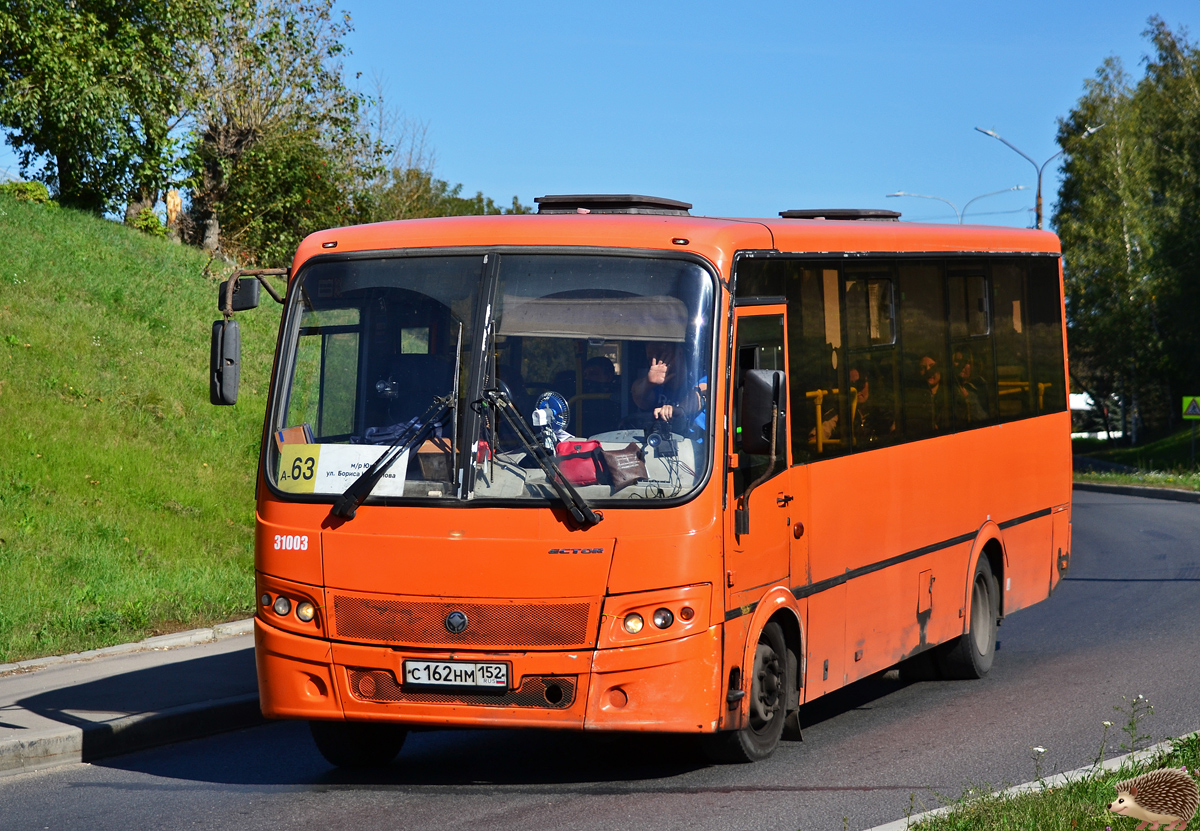 Нижегородская область, ПАЗ-320414-04 "Вектор" № 31003