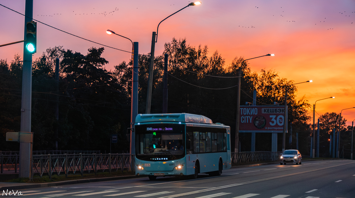 Санкт-Петербург, Volgabus-5270.G4 (CNG) № 6591