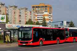 509 КБ