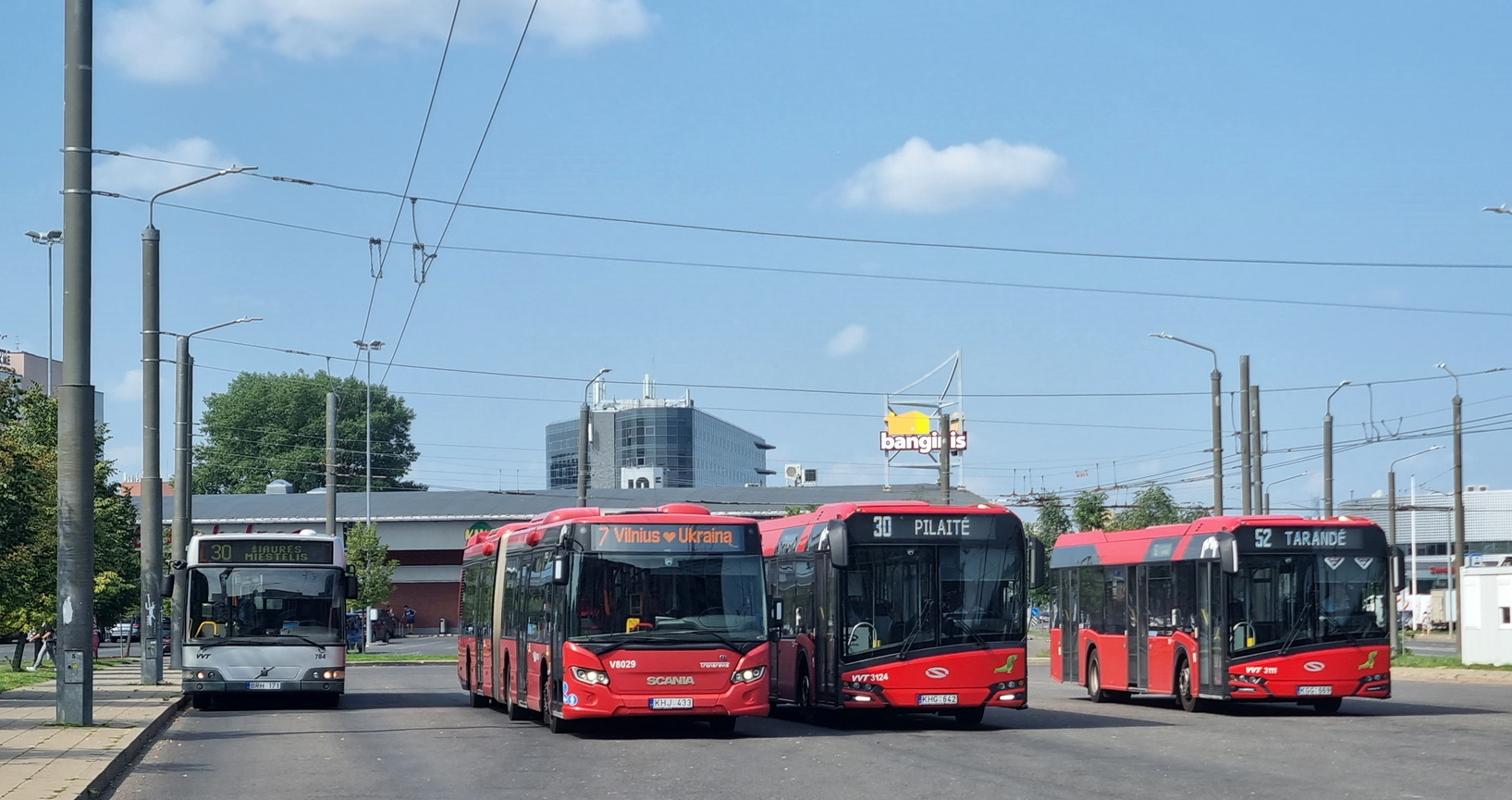 Litwa, Scania Citywide LFA Nr V8029; Litwa — Terminal stations, bus stations