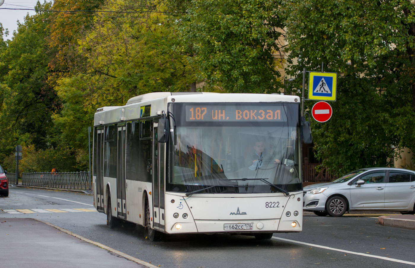 Санкт-Петербург, МАЗ-203.085 № 8222