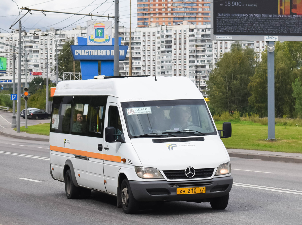 Московская область, Луидор-223203 (MB Sprinter Classic) № ХН 210 77