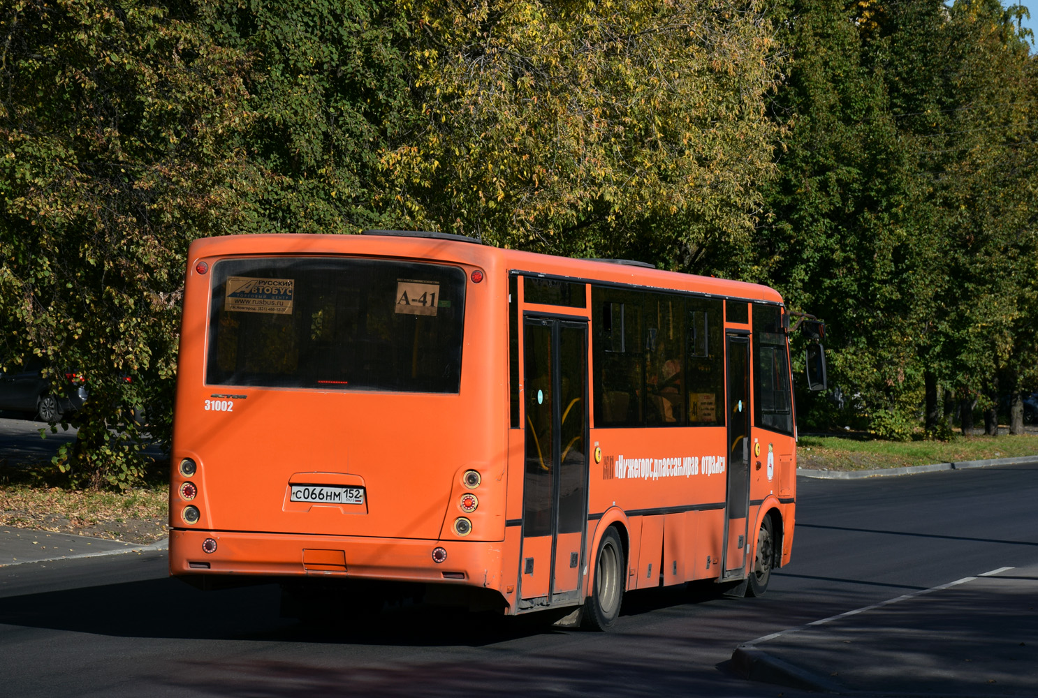 Нижегородская область, ПАЗ-320414-04 "Вектор" № 31002