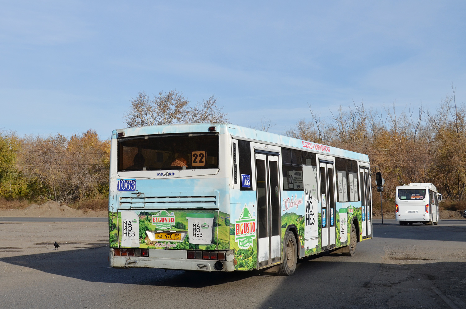 Omsk region, NefAZ-5299-30-32 Nr. 1063