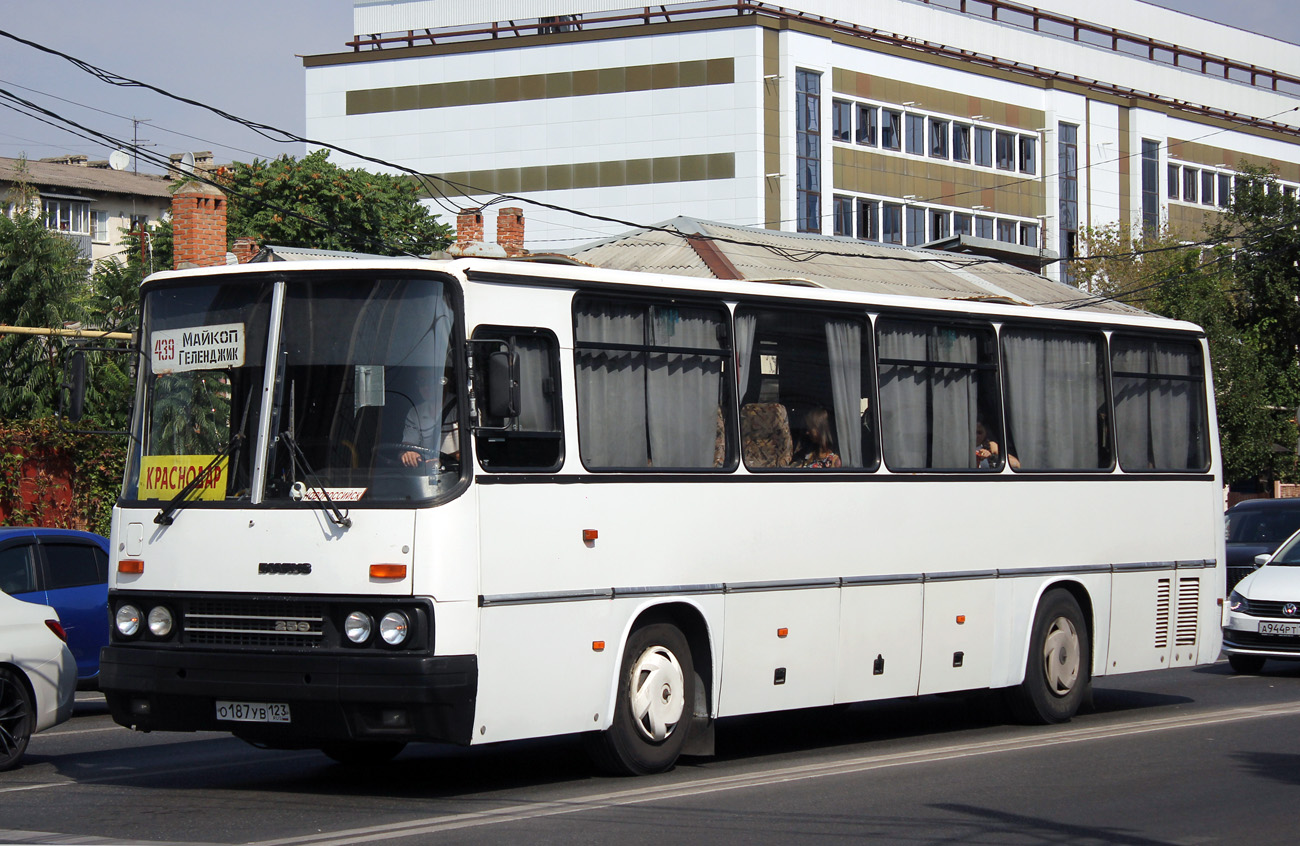 Адыгея, Ikarus 256.21H № О 187 УВ 123