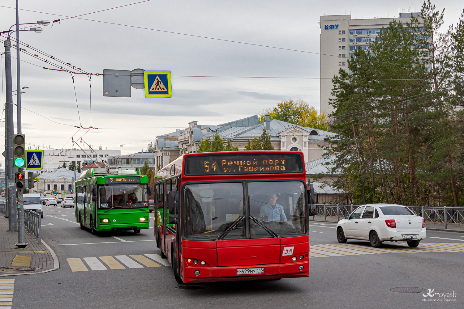 Татарстан, МАЗ-103.465 № 209