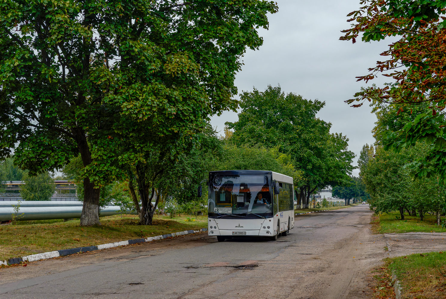 Гомельская вобласць, МАЗ-226.068 № 12394