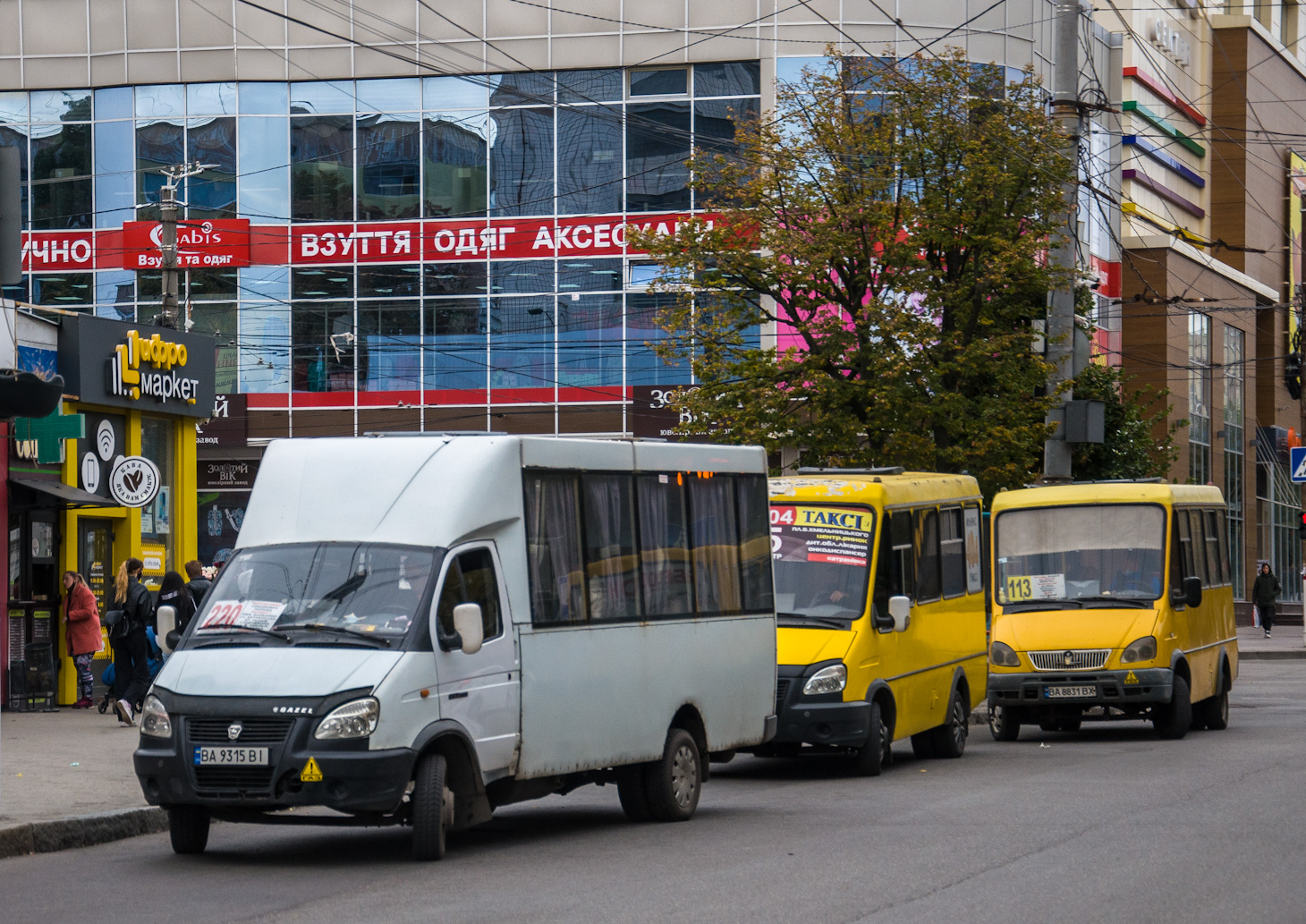 Кировоградская область, Рута 20 ПЕ № BA 9315 BI; Кировоградская область, БАЗ-2215 "Дельфин" № BA 8831 BX