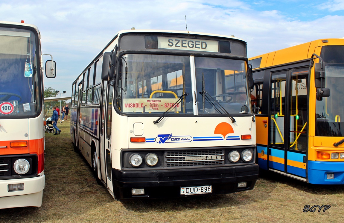 Венгрия, Ikarus 256.42 № DUD-896; Венгрия — V. Ikarus Találkozó, Aeropark (2023)