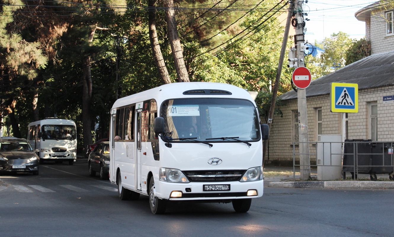 Краснодарский край, Hyundai County Kuzbass № В 529 ОН 193