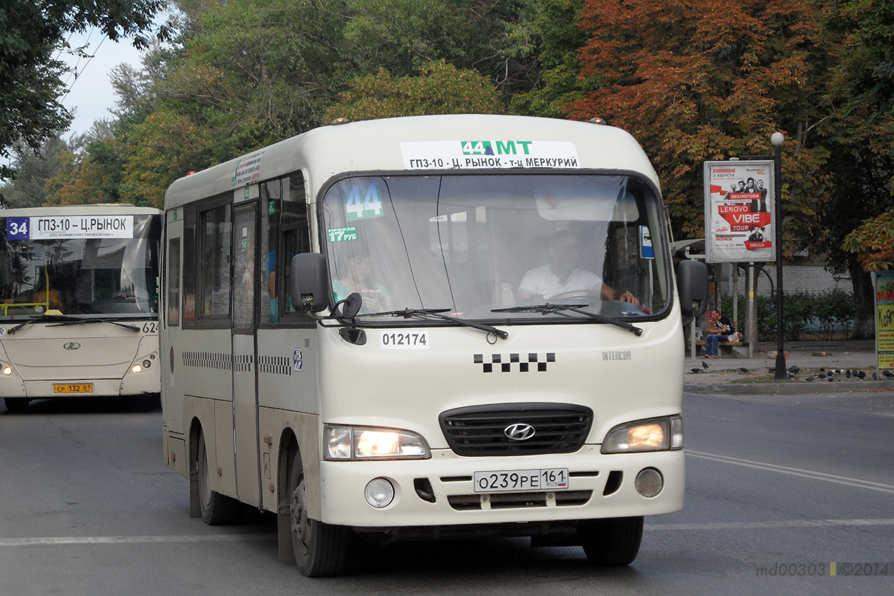 Ростовская область, Hyundai County SWB C08 (РЗГА) № 012174