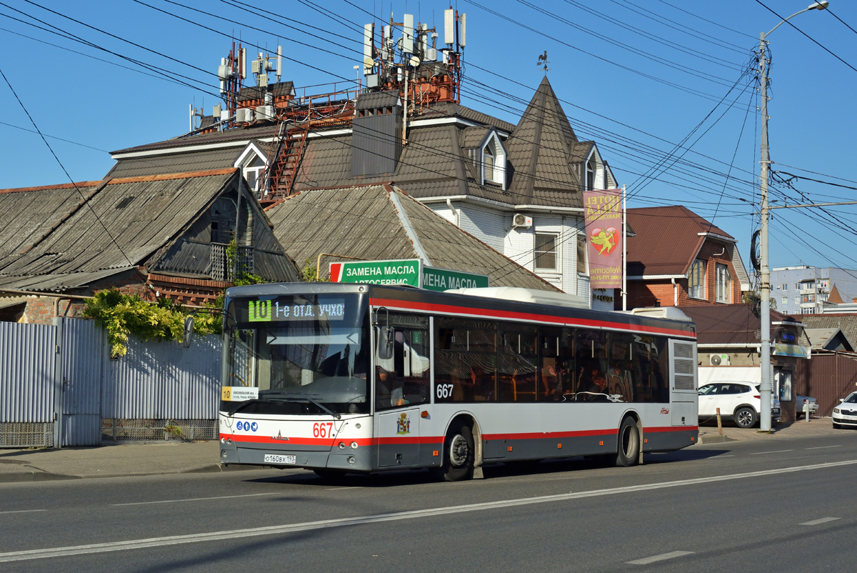 Krasnodar region, MAZ-203.016 č. 667