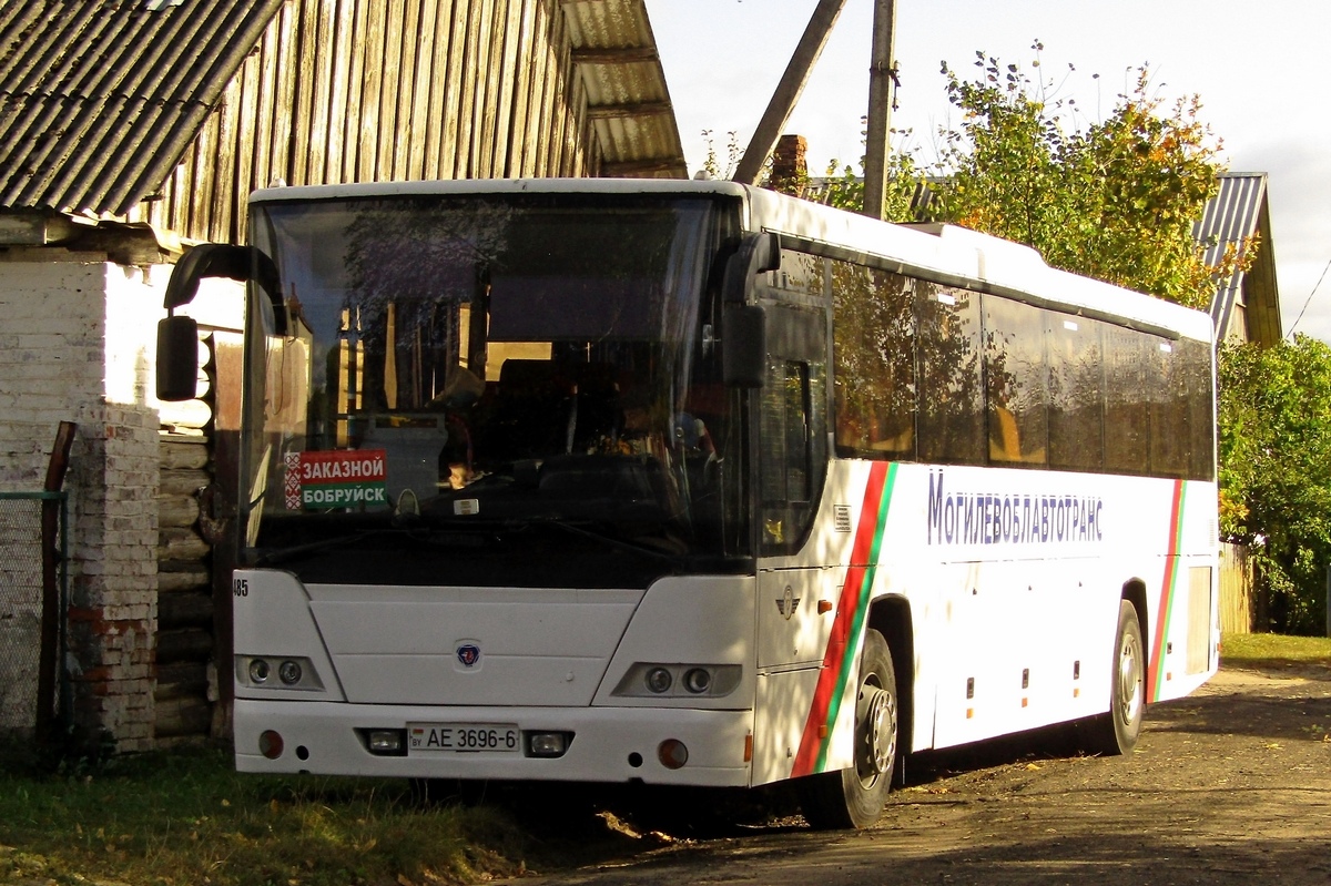 Могилёвская область, ГолАЗ-525110-10 "Вояж" № 485
