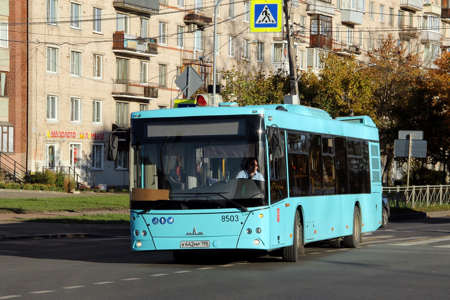 Sankt Petersburg, MAZ-203.016 Nr. 8503