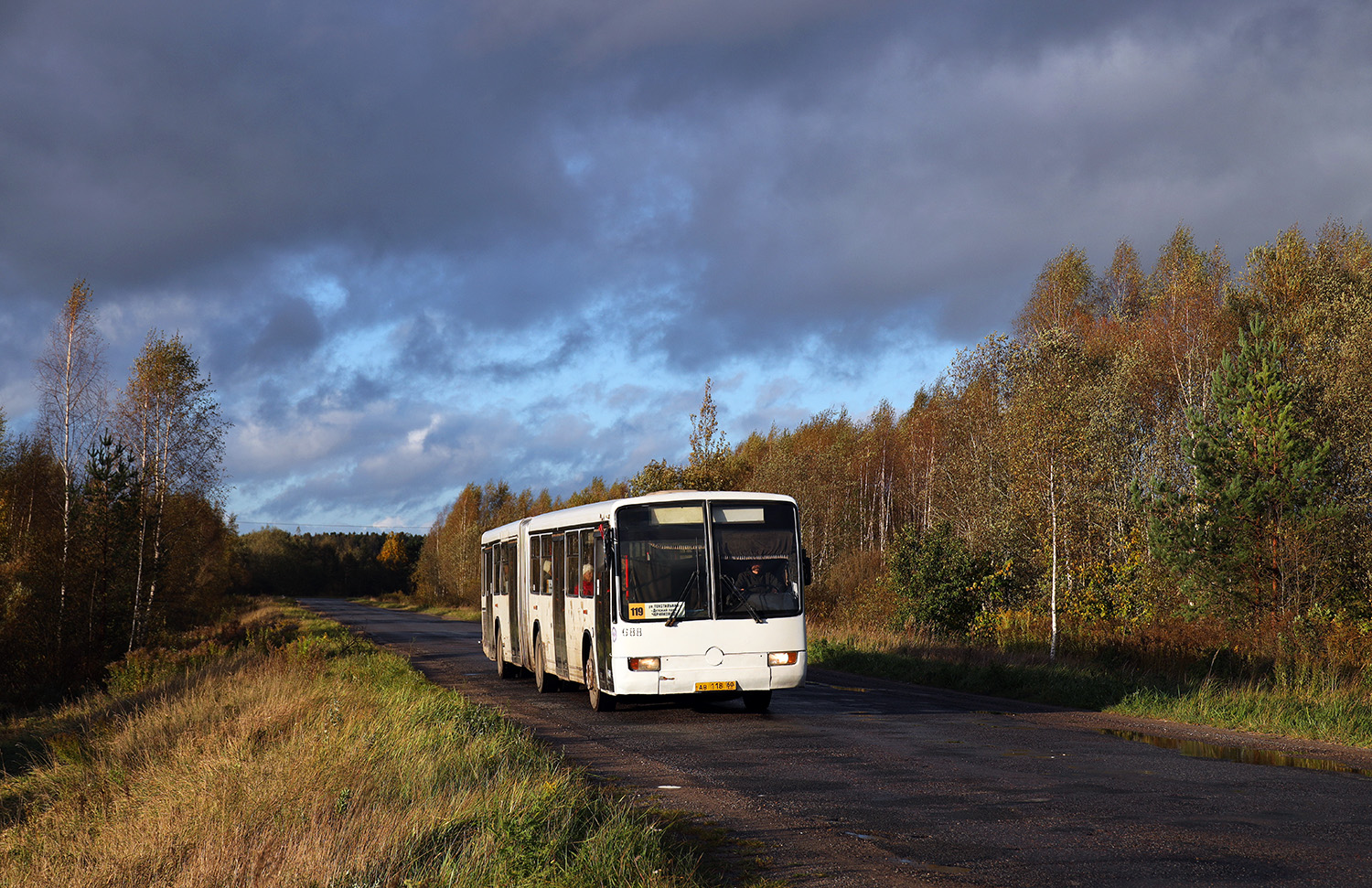 Псковская область, Mercedes-Benz O345G № 688