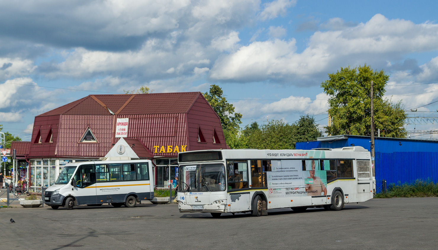 Московская область, МАЗ-103.469 № С 675 ТА 790