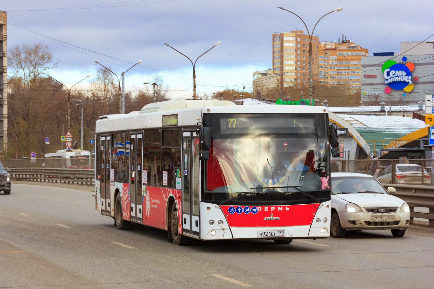 Пермский край, МАЗ-203.016 № Н 921 ЕН 159