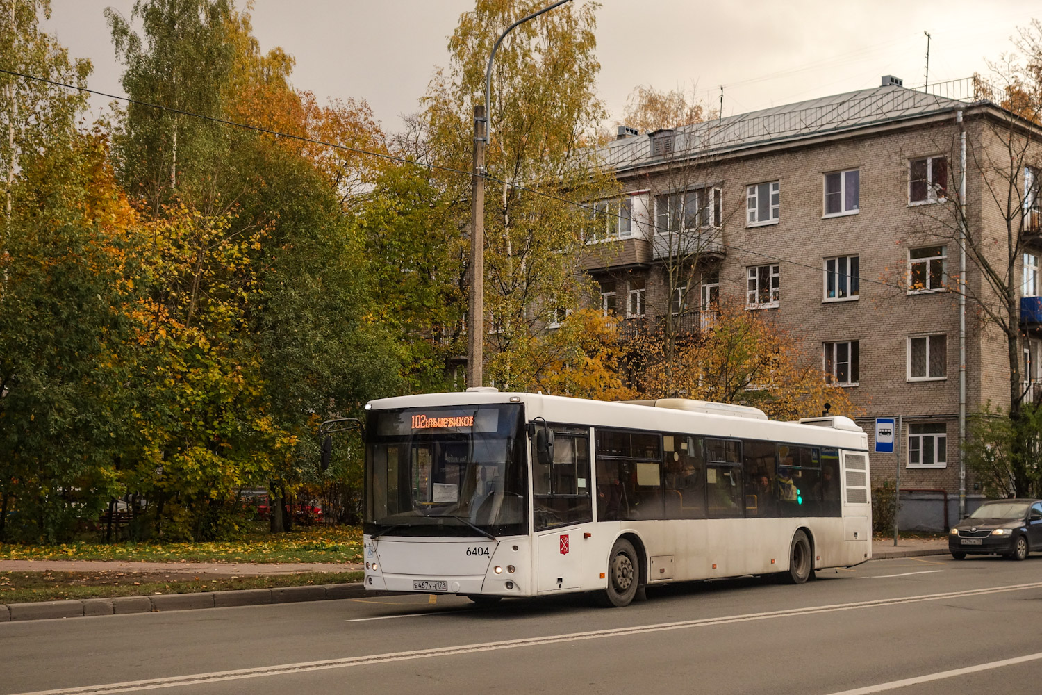 Sankt Petersburg, MAZ-203.085 Nr. 6404