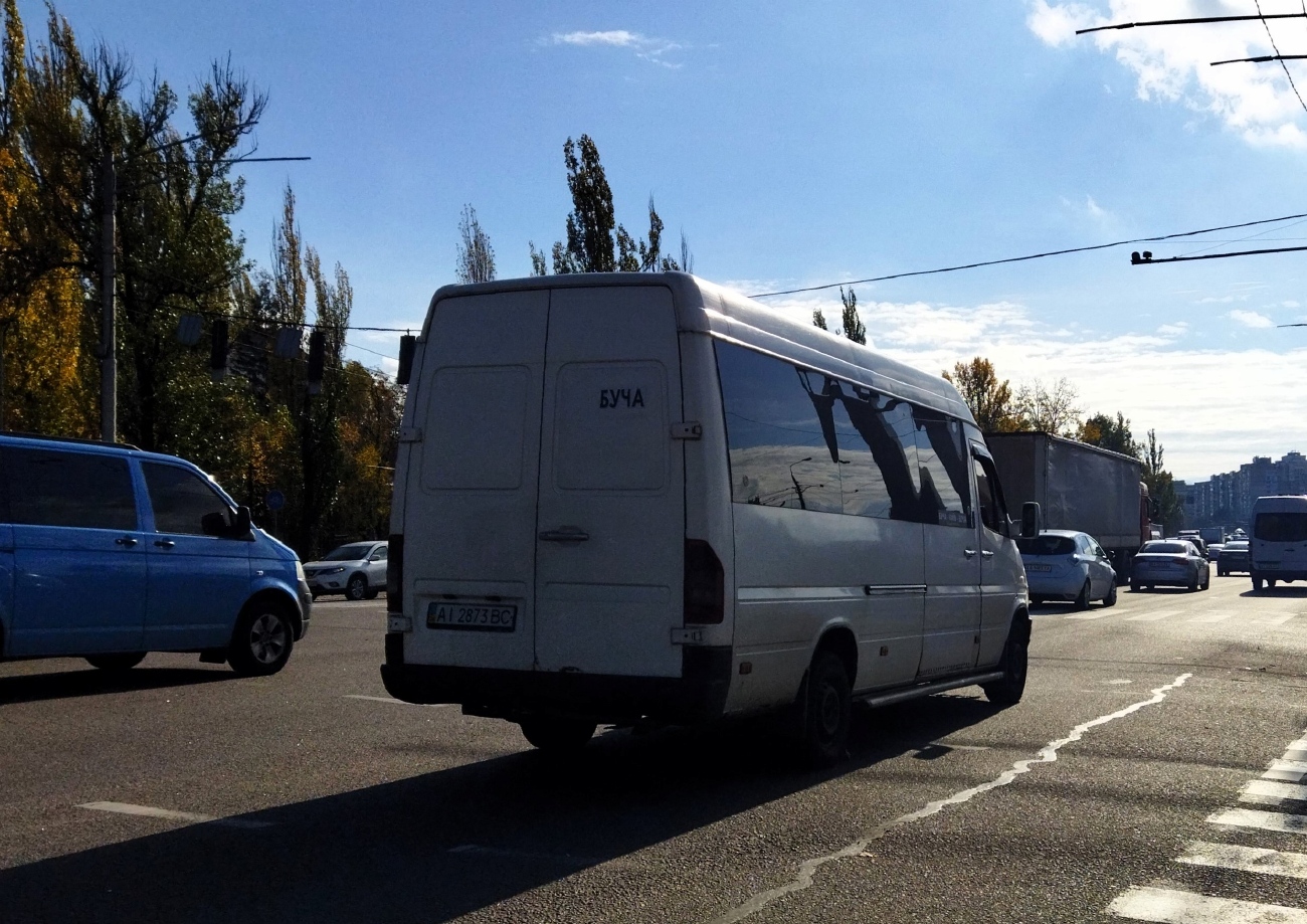 Киевская область, Mercedes-Benz Sprinter W903 312D № AI 2873 BC