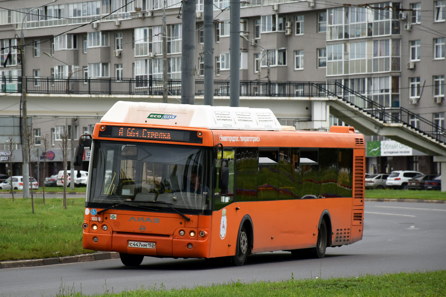 Nizhegorodskaya region, LiAZ-5292.67 (CNG) № 15518