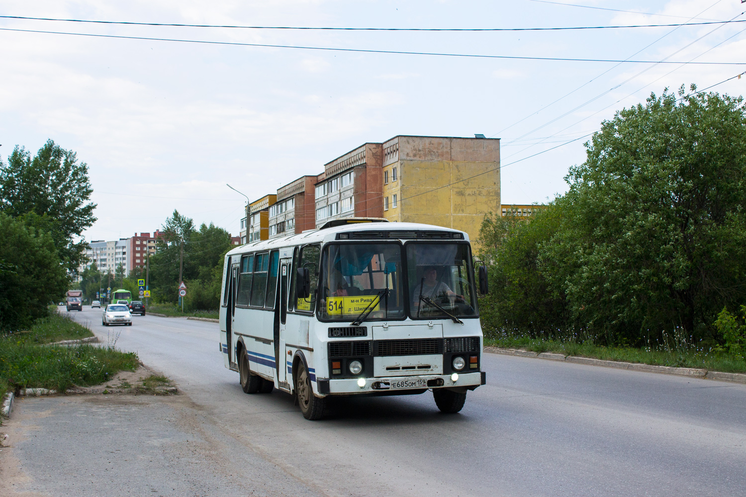 Пермский край, ПАЗ-4234 № Е 685 ОМ 159