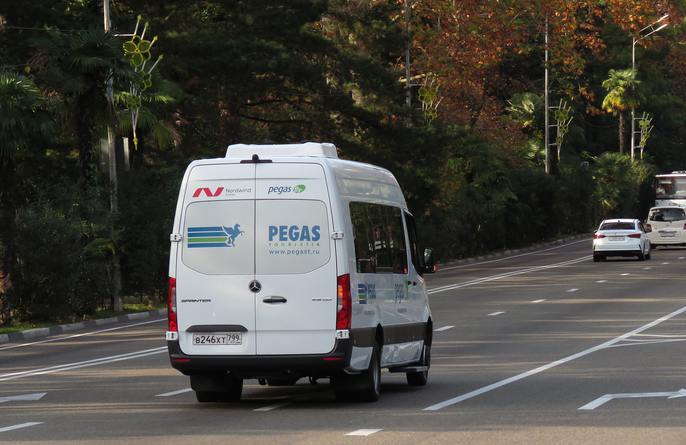 Краснодарский край, Луидор-223685 (MB Sprinter) № В 246 ХТ 799