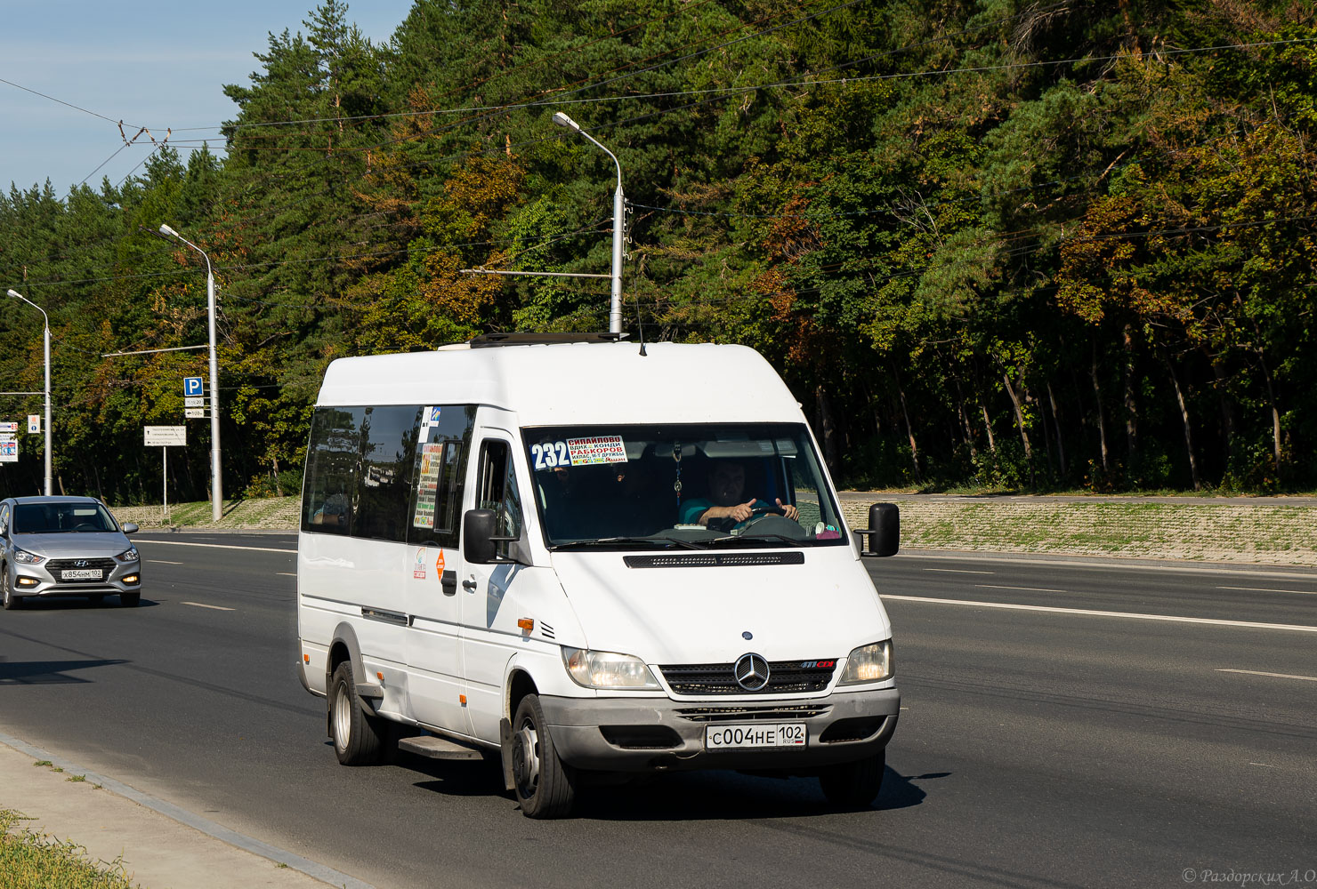 Башкортостан, Луидор-223201 (MB Sprinter Classic) № С 004 НЕ 102