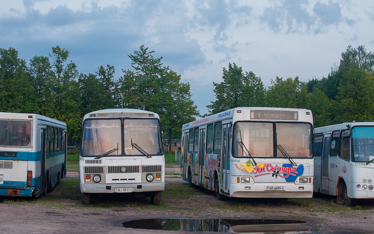 Витебская область, ПАЗ-Р 4234 № 320015; Витебская область, Неман-5201 № 320699