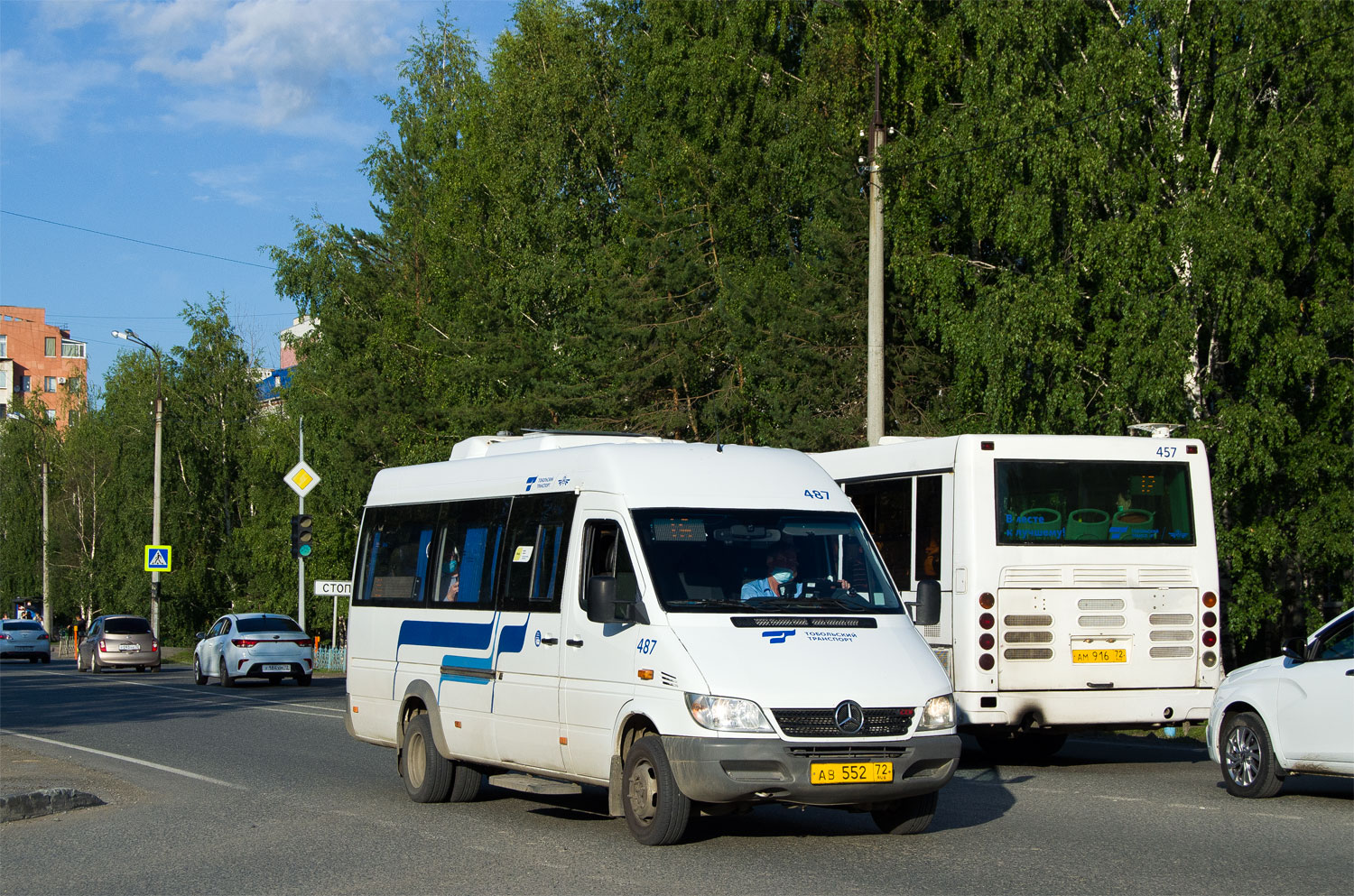 Тюменская область, Луидор-223204 (MB Sprinter Classic) № 487