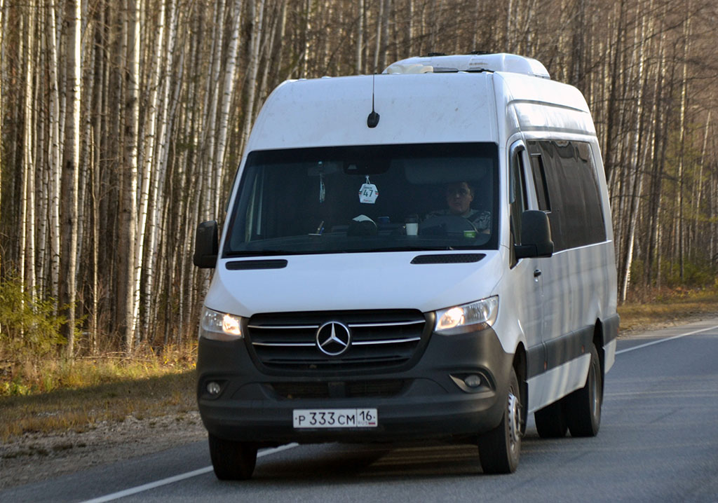 Татарстан, Луидор-223602 (MB Sprinter) № Р 333 СМ 16