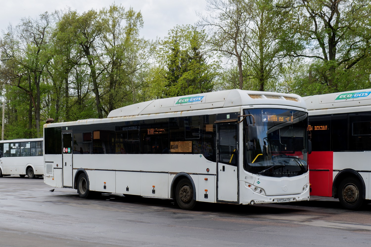 Ленинградская область, Volgabus-5285.G2 № 4439