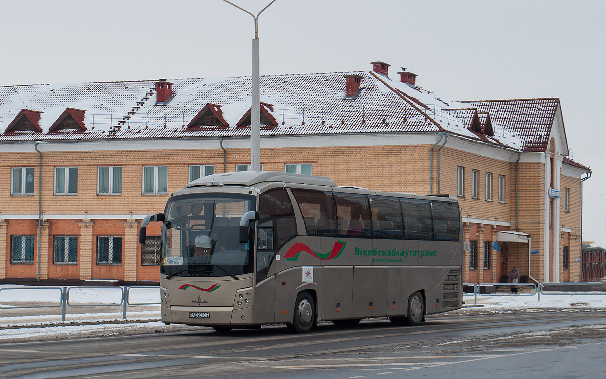 Vitebsk region, MAZ-251.050 Nr. 021733