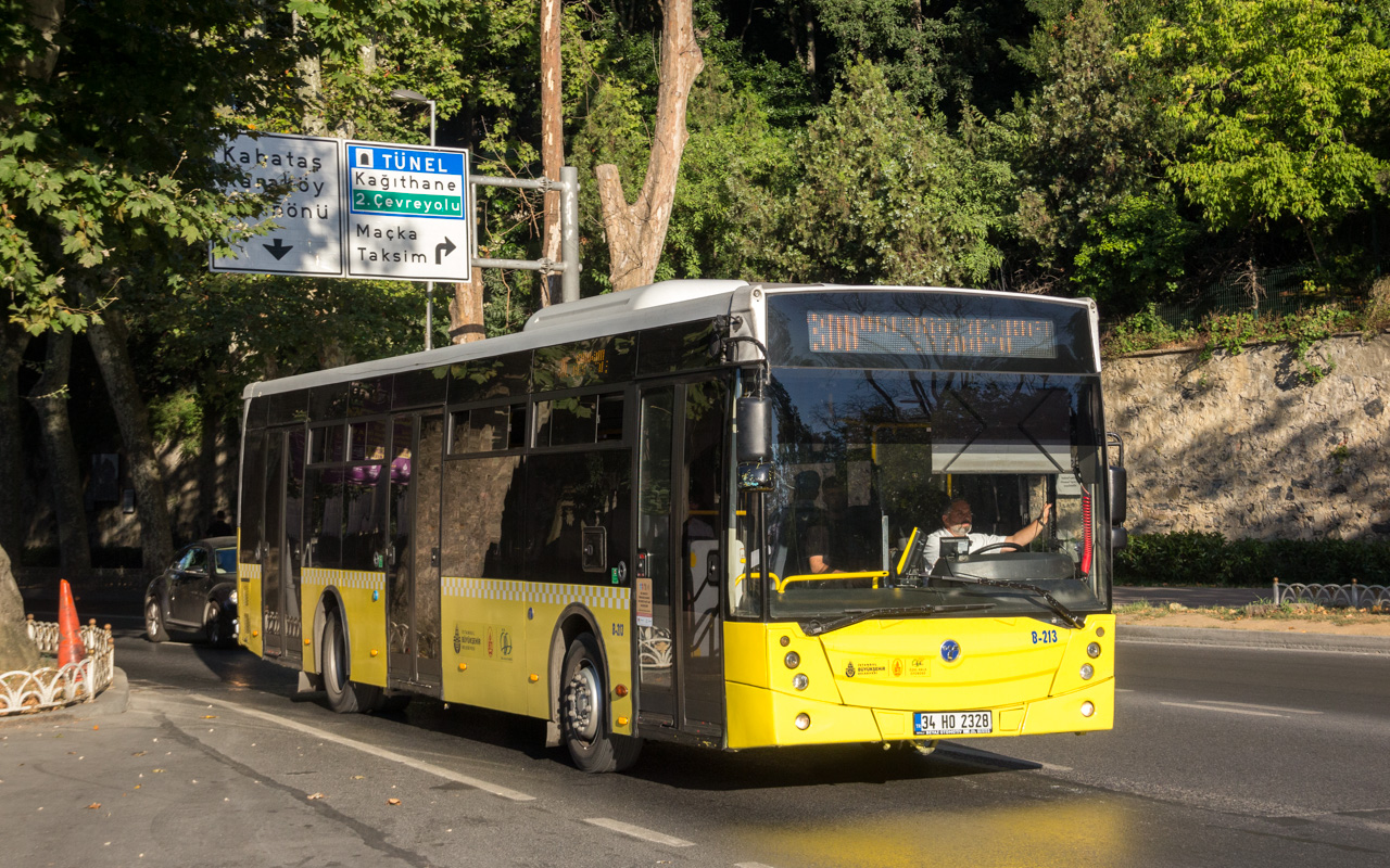 Турция, TEMSA Avenue 12LF № B-213