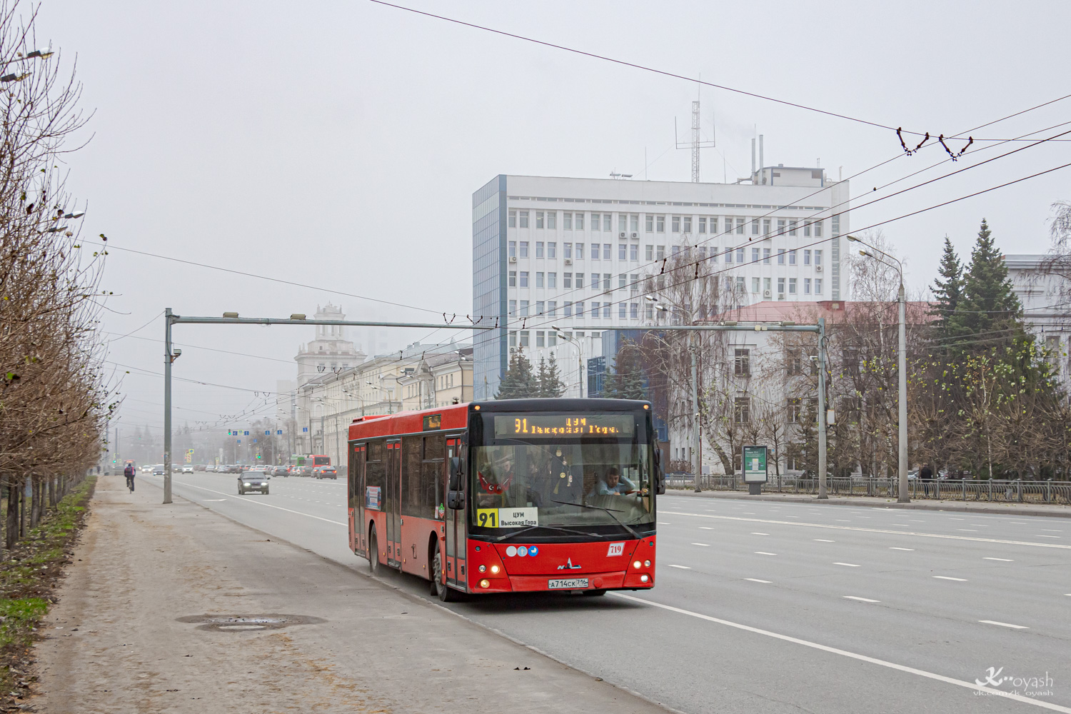 Татарстан, МАЗ-203.069 № 719