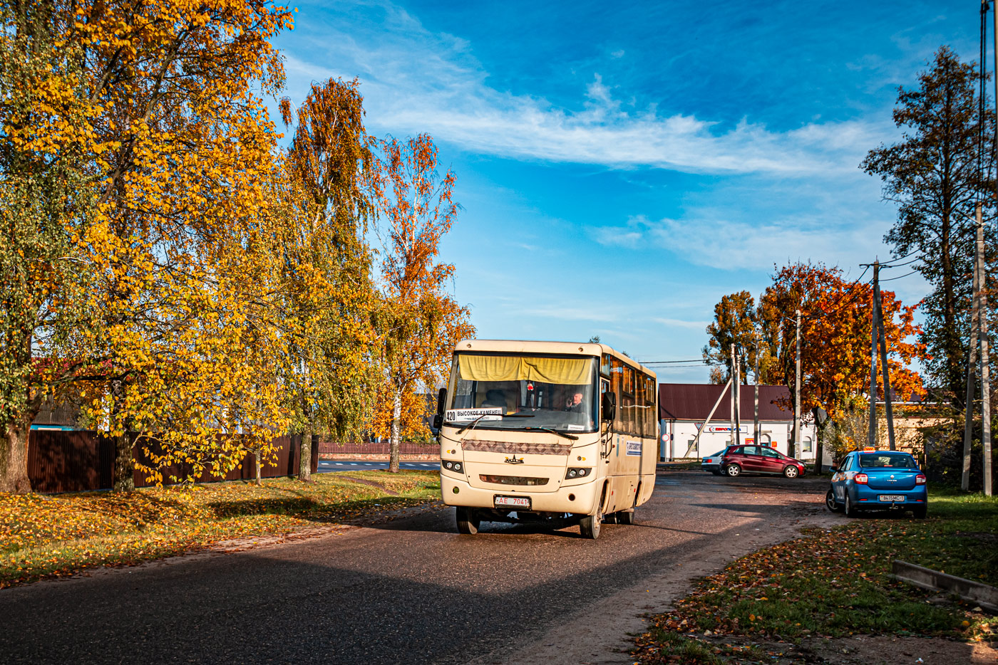 Брестская область, МАЗ-256.200 № 155