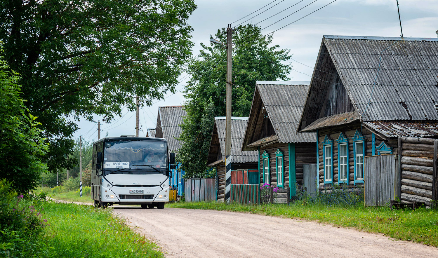 Минская область, МАЗ-241.030 № АС 1261-5 Минская область, МАЗ-241.030 № АС 1261-5