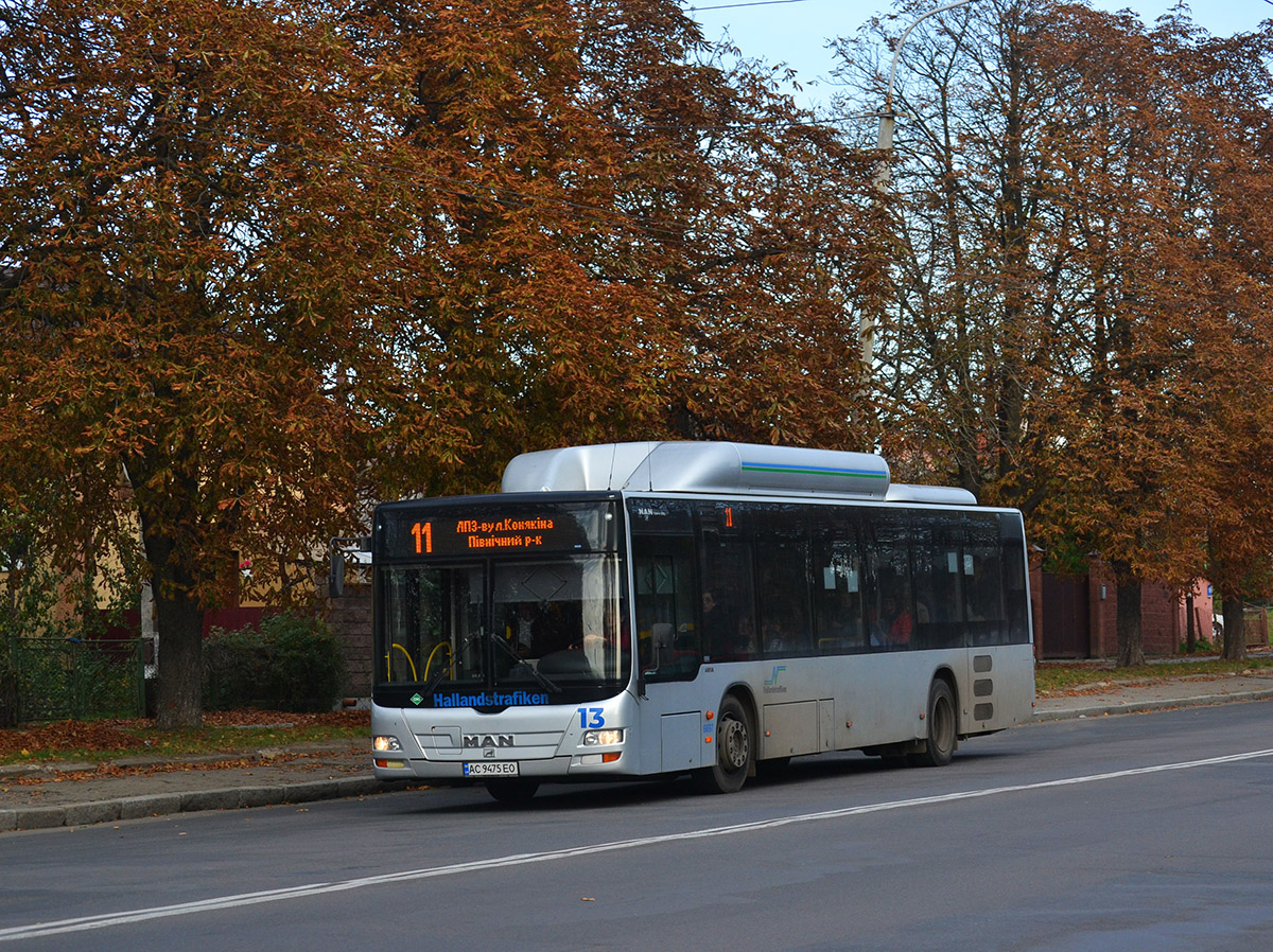 Volinskaya region, MAN A21 Lion's City NL313 CNG № 13