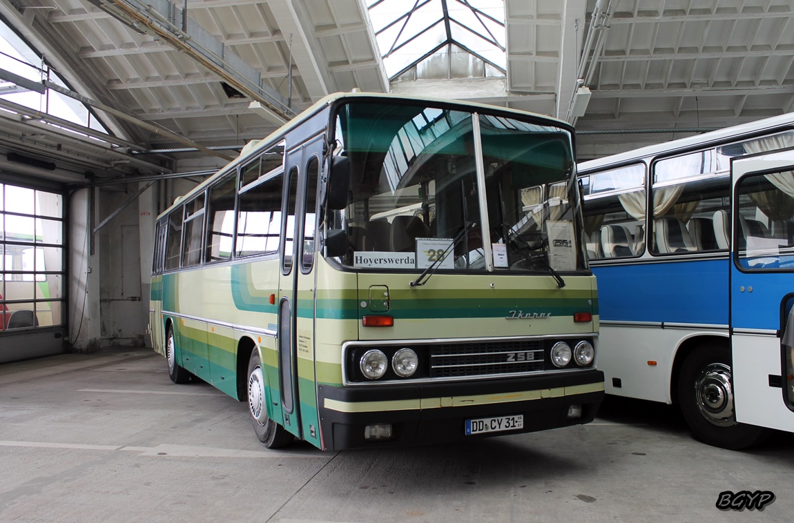 Саксония, Ikarus 256.50E № DD-CY 31