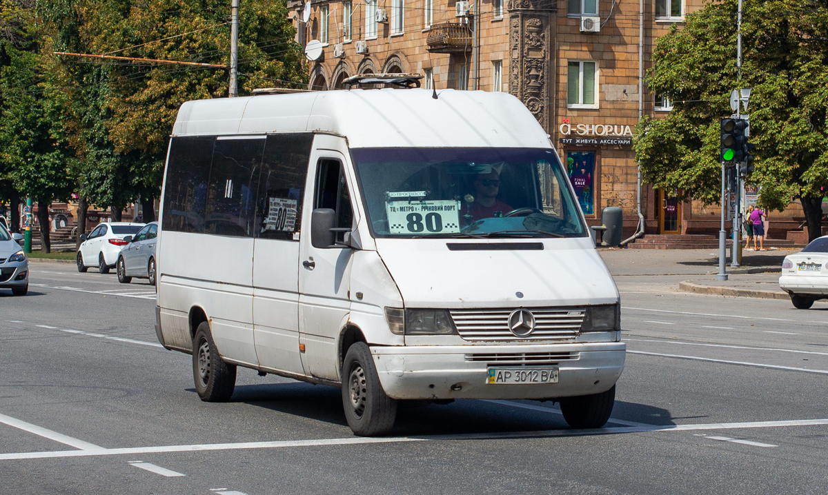 Запорожская область, Mercedes-Benz Sprinter W903 310D № AP 3012 BA