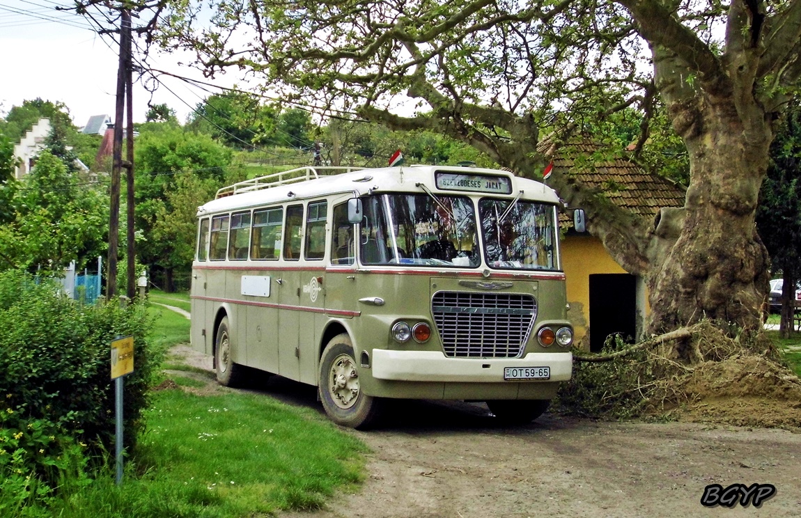 Венгрия, Ikarus 630.29 № OT 59-65