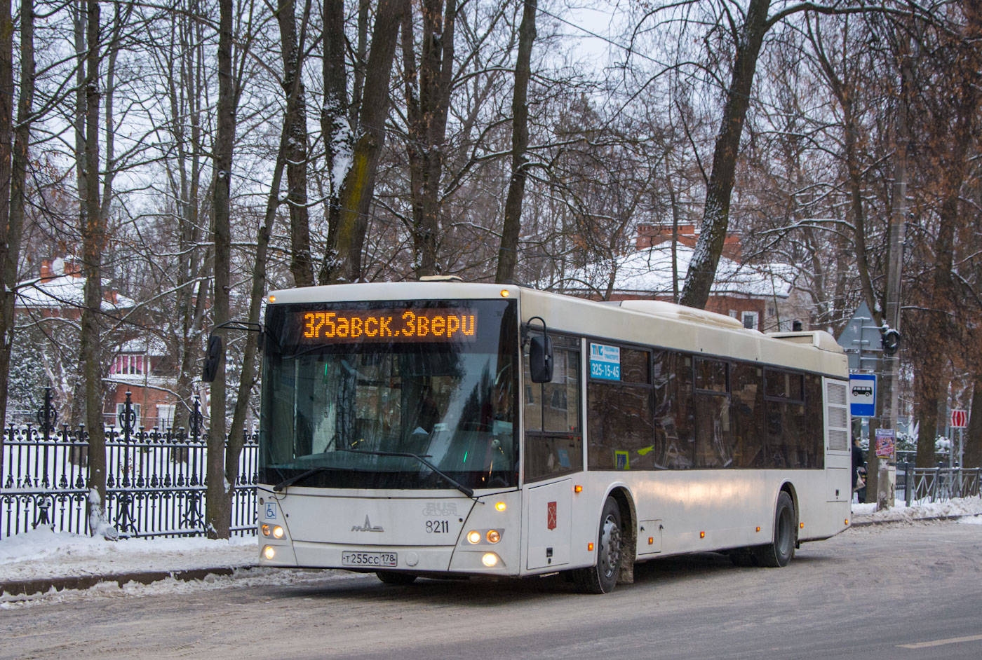 Санкт-Петербург, МАЗ-203.085 № 8211