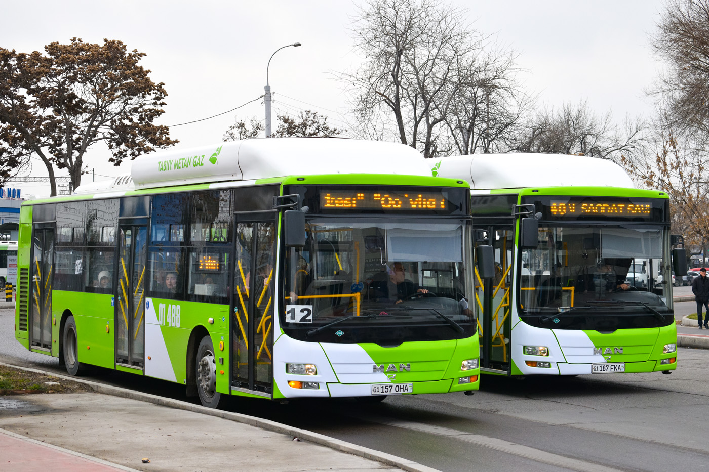 Узбекистан, Gemilang (MAN Auto-Uzbekistan) № 01488