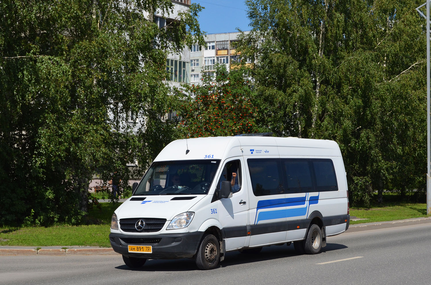 Тюменская область, Луидор-22360C (MB Sprinter) № 361