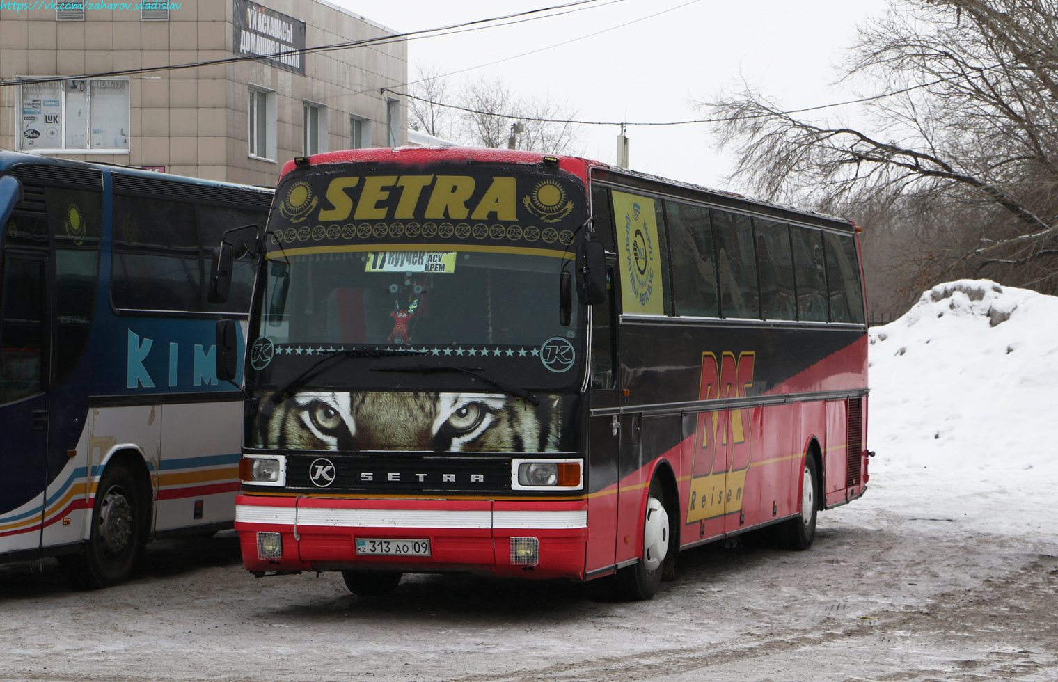 Карагандинская область, Setra S215HD № 313 AO 09