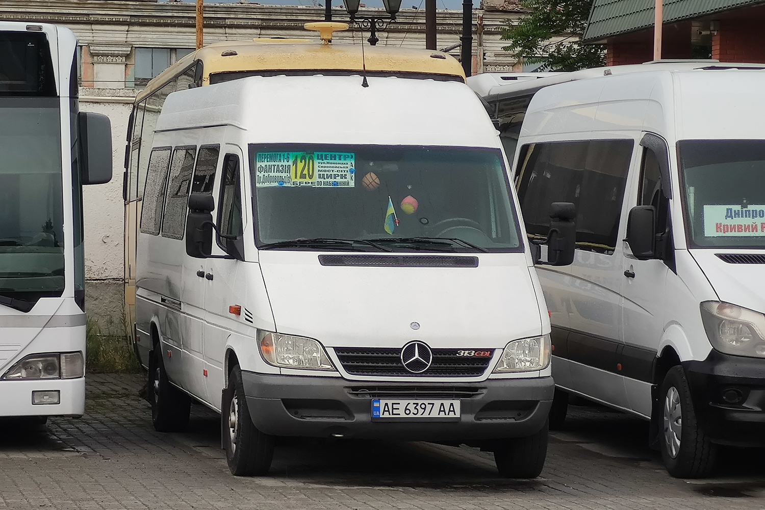 Днепропетровская область, Mercedes-Benz Sprinter W903 313CDI № AE 6397 AA