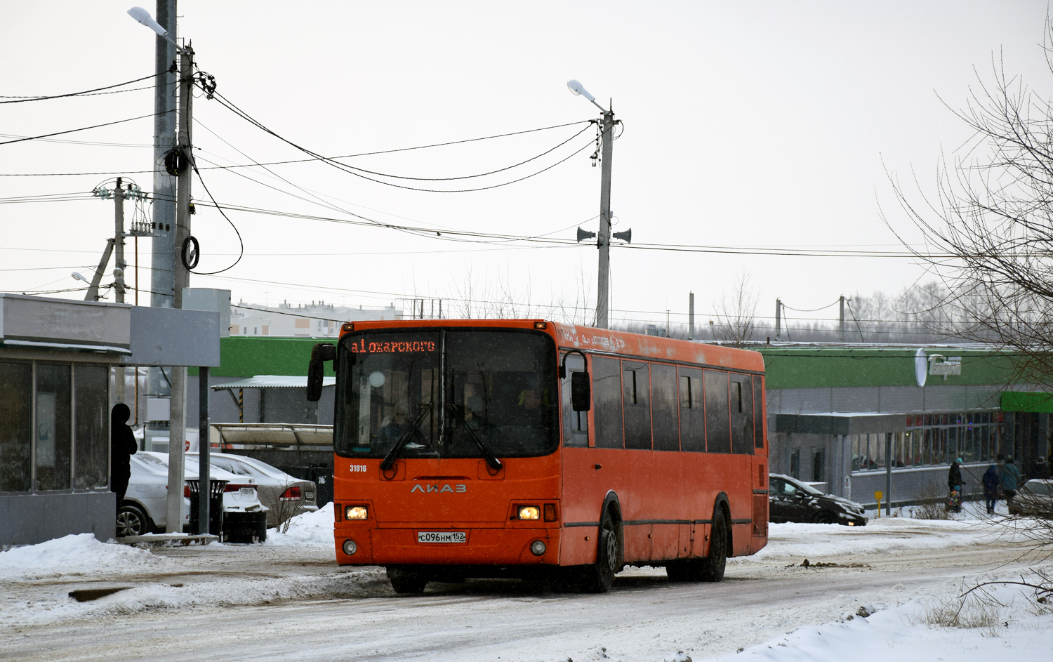 Нижегородская область, ЛиАЗ-5293.60 № 31016